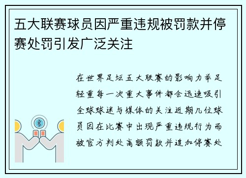 五大联赛球员因严重违规被罚款并停赛处罚引发广泛关注